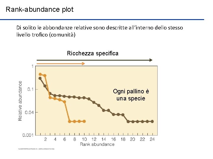 Rank-abundance plot Di solito le abbondanze relative sono descritte all’interno dello stesso livello trofico