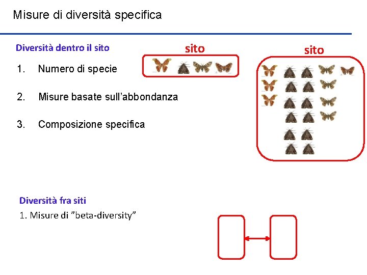 Misure di diversità specifica Diversità dentro il sito 1. Numero di specie 2. Misure