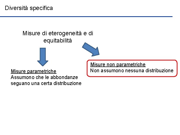 Diversità specifica Misure di eterogeneità e di equitabilità Misure parametriche Assumono che le abbondanze