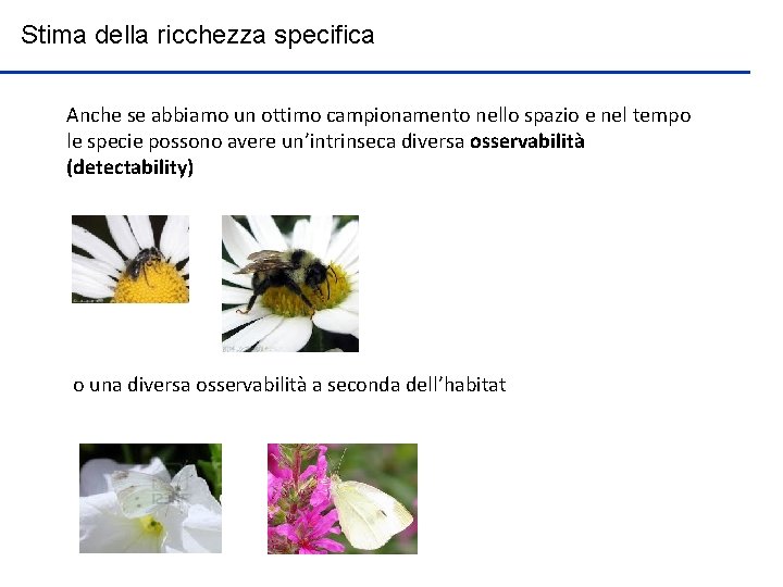 Stima della ricchezza specifica Anche se abbiamo un ottimo campionamento nello spazio e nel