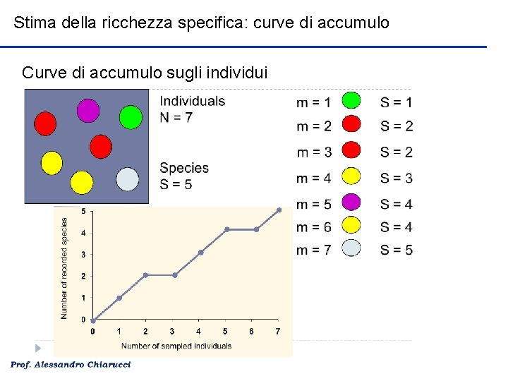 Stima della ricchezza specifica: curve di accumulo Curve di accumulo sugli individui 