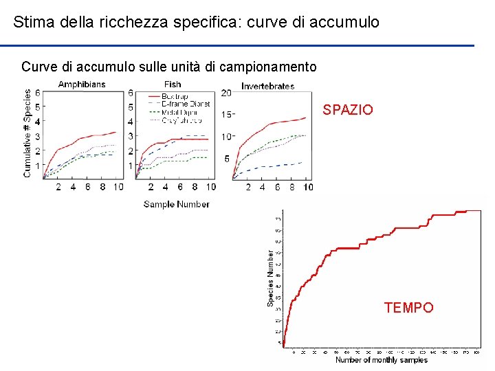 Stima della ricchezza specifica: curve di accumulo Curve di accumulo sulle unità di campionamento