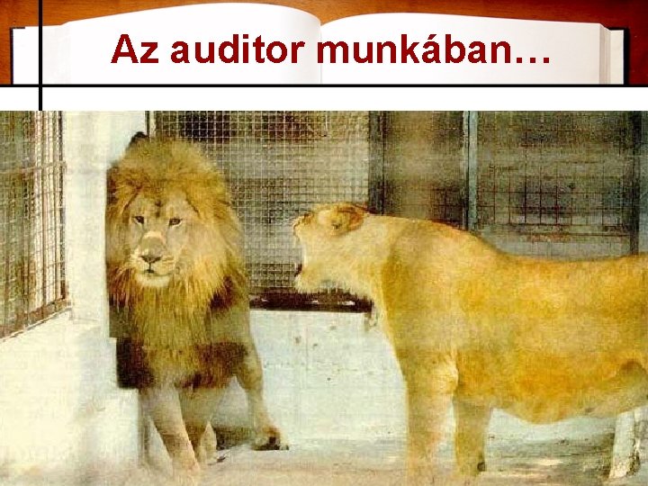 Az auditor munkában… 24 