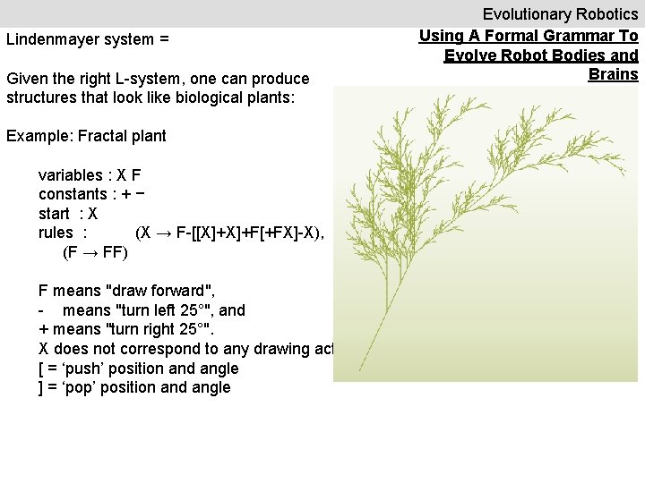 Lindenmayer system = Given the right L-system, one can produce structures that look like
