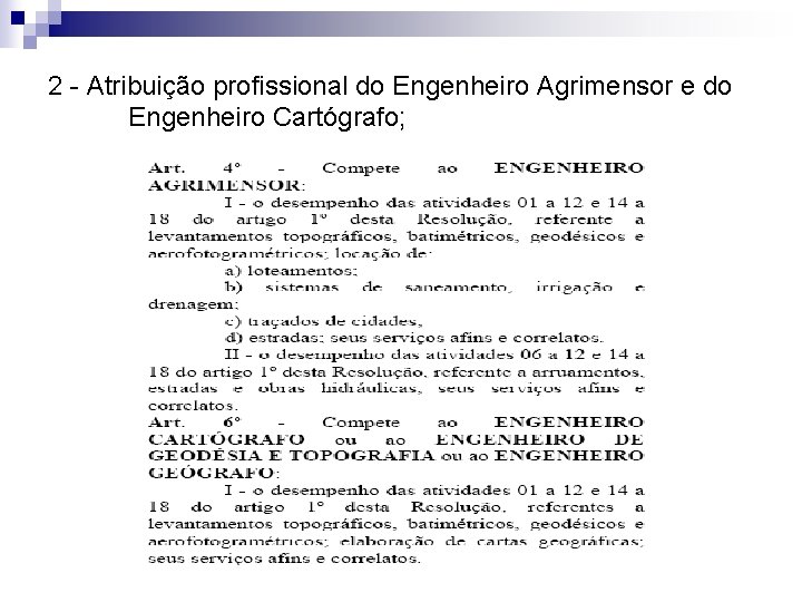 2 - Atribuição profissional do Engenheiro Agrimensor e do Engenheiro Cartógrafo; 