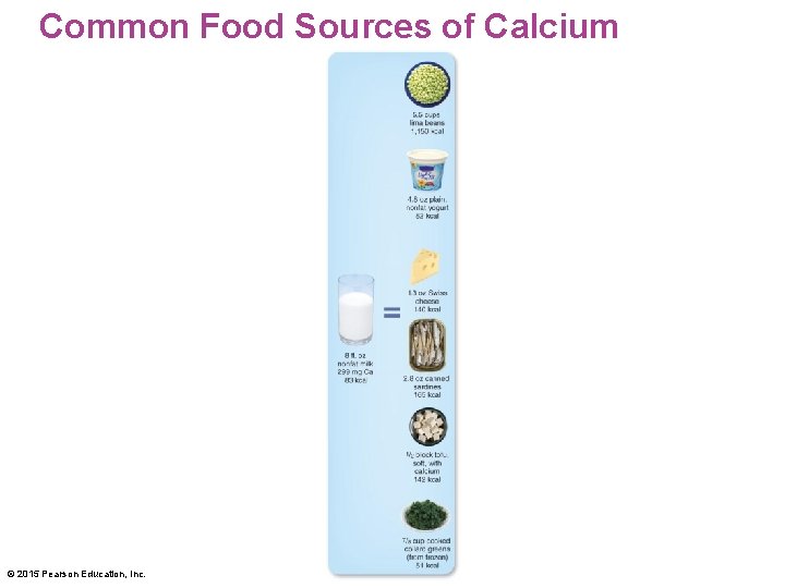 Common Food Sources of Calcium © 2015 Pearson Education, Inc. 