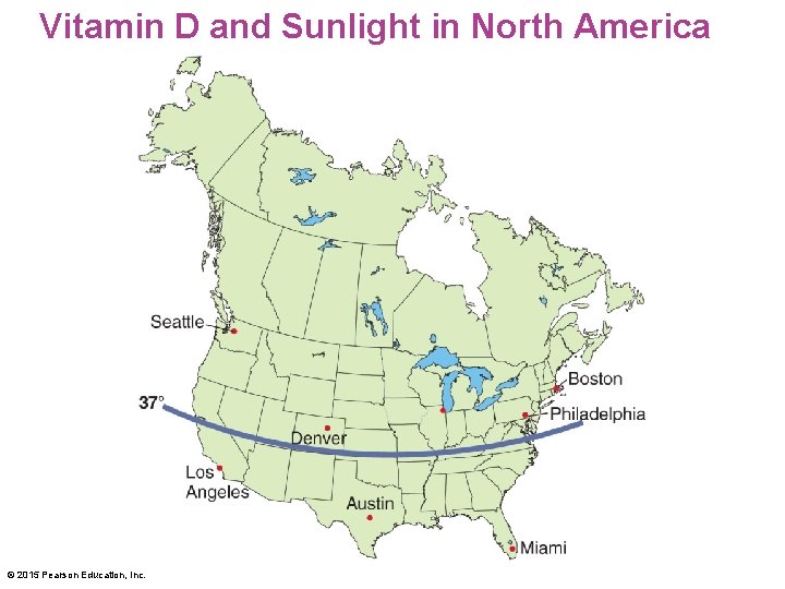 Vitamin D and Sunlight in North America © 2015 Pearson Education, Inc. 