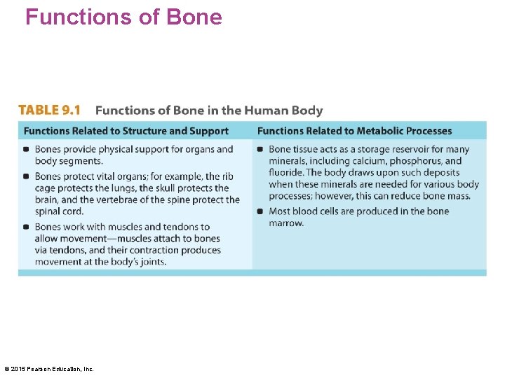 Functions of Bone © 2015 Pearson Education, Inc. 