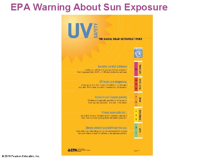 EPA Warning About Sun Exposure © 2015 Pearson Education, Inc. 