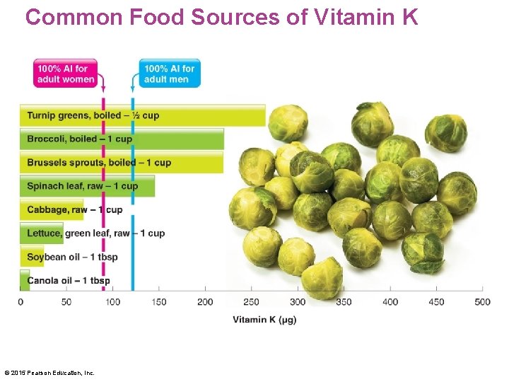 Common Food Sources of Vitamin K © 2015 Pearson Education, Inc. 