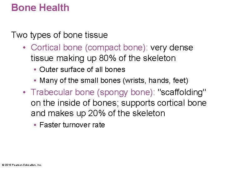 Bone Health Two types of bone tissue • Cortical bone (compact bone): very dense