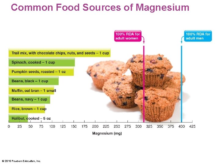Common Food Sources of Magnesium © 2015 Pearson Education, Inc. 