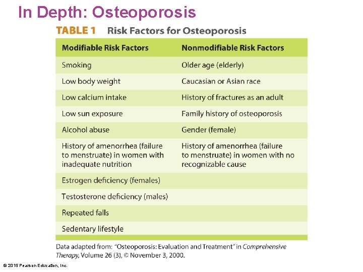 In Depth: Osteoporosis © 2015 Pearson Education, Inc. 