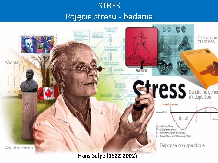 STRES Pojęcie stresu - badania Hans Selye (1922 -2002) 