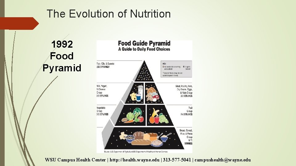 The Evolution of Nutrition 1992 Food Pyramid WSU Campus Health Center | http: //health. The Evolution of Nutrition 1992 Food Pyramid WSU Campus Health Center | http: //health.