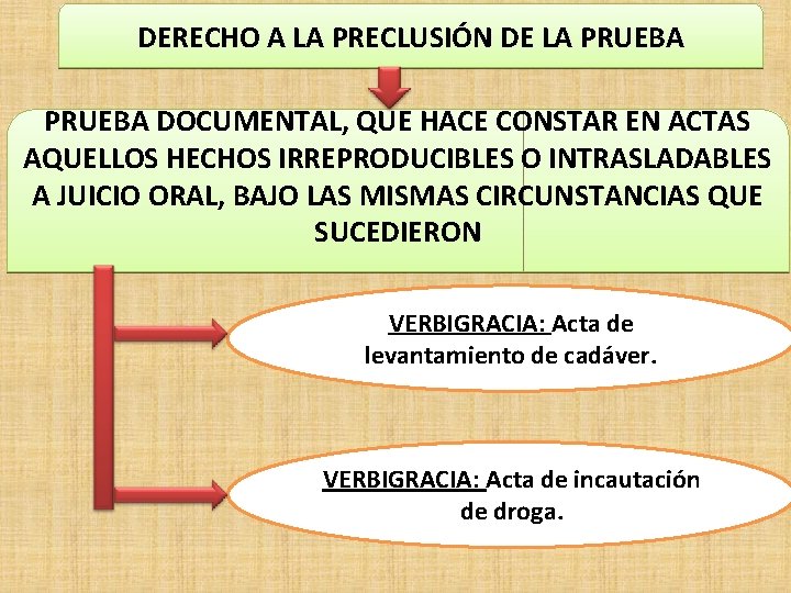 DERECHO A LA PRECLUSIÓN DE LA PRUEBA DOCUMENTAL, QUE HACE CONSTAR EN ACTAS AQUELLOS