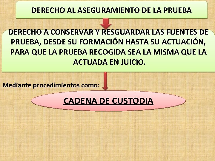 DERECHO AL ASEGURAMIENTO DE LA PRUEBA DERECHO A CONSERVAR Y RESGUARDAR LAS FUENTES DE