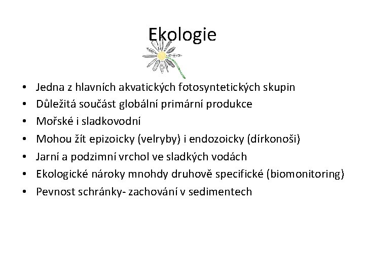 Ekologie • • Jedna z hlavních akvatických fotosyntetických skupin Důležitá součást globální primární produkce