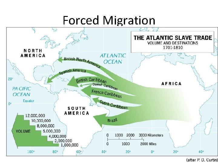 Forced Migration 