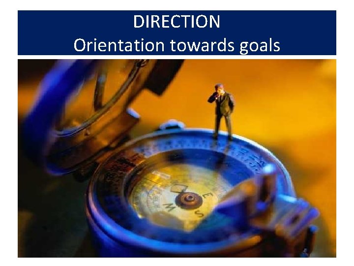 DIRECTION Orientation towards goals 