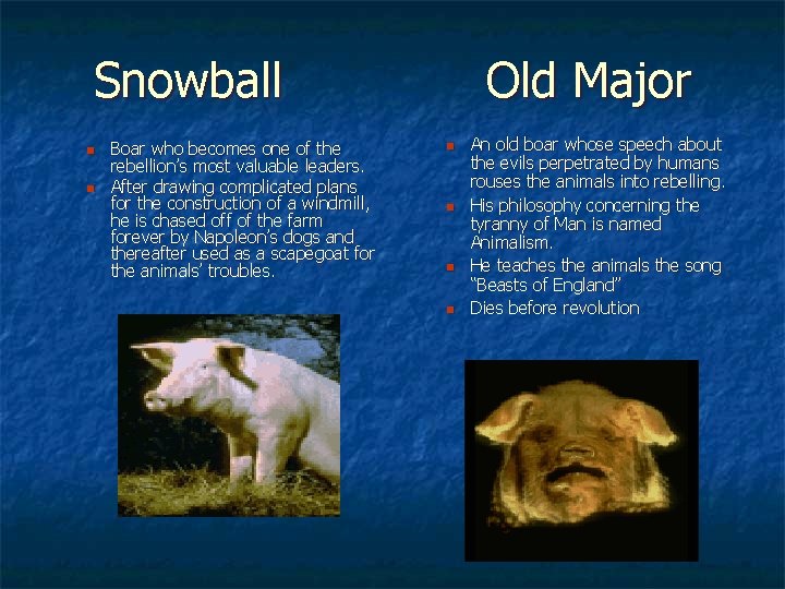 Snowball n n Boar who becomes one of the rebellion’s most valuable leaders. After