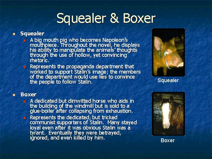 Squealer & Boxer n n Squealer n A big mouth pig who becomes Napoleon’s