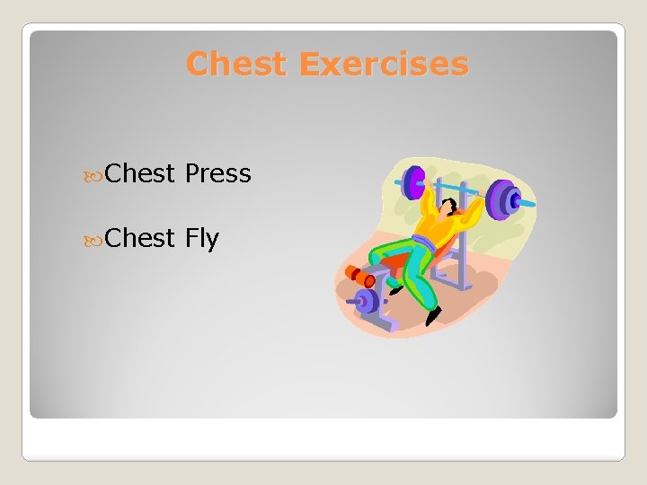 Chest Exercises Chest Press Chest Fly 