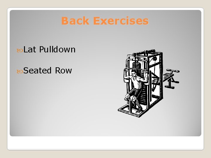 Back Exercises Lat Pulldown Seated Row 