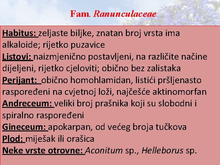 Fam. Ranunculaceae Habitus: zeljaste biljke, znatan broj vrsta ima alkaloide; rijetko puzavice Listovi: naizmjenično