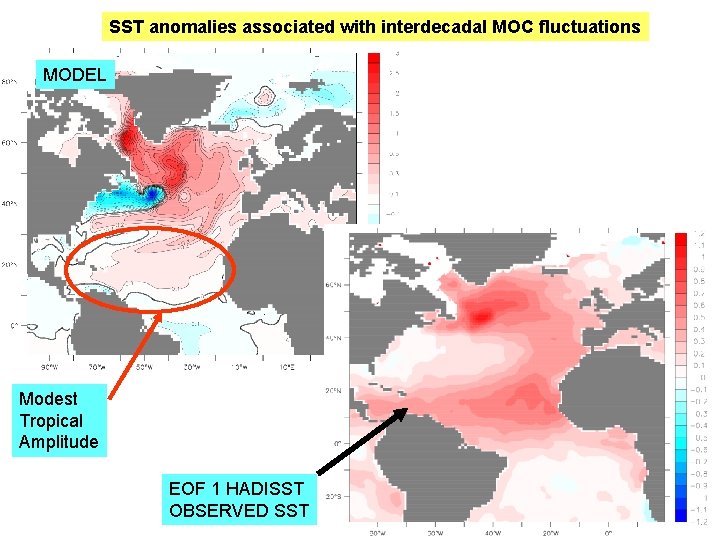 SST anomalies associated with interdecadal MOC fluctuations MODEL Modest Tropical Amplitude EOF 1 HADISST