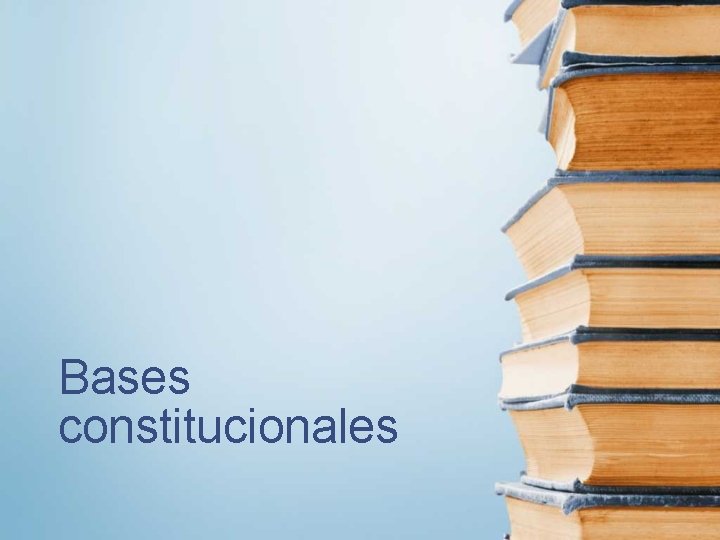 Bases constitucionales 