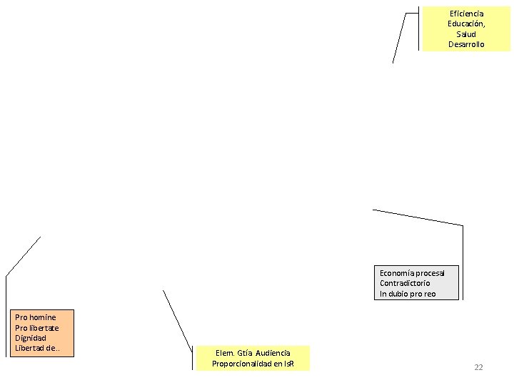 Eficiencia Educación, Salud Desarrollo Economía procesal Contradictorio In dubio pro reo Pro homine Pro