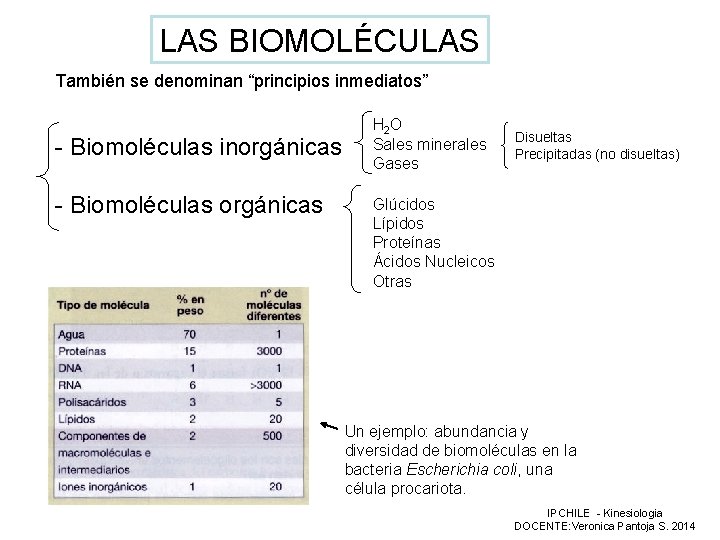 LAS BIOMOLÉCULAS También se denominan “principios inmediatos” - Biomoléculas inorgánicas - Biomoléculas orgánicas H