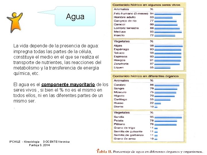 Agua La vida depende de la presencia de agua: impregna todas las partes de