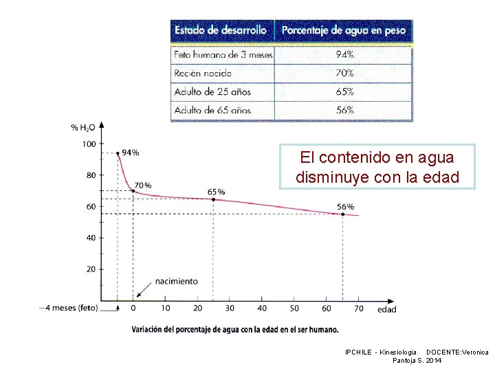 El contenido en agua disminuye con la edad IPCHILE - Kinesiologia DOCENTE: Veronica Pantoja