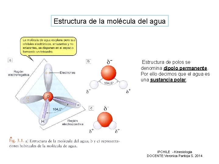 Estructura de la molécula del agua Estructura de polos se denomina dipolo permanente. Por