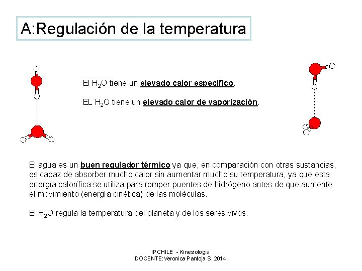 A: Regulación de la temperatura El H 2 O tiene un elevado calor específico.