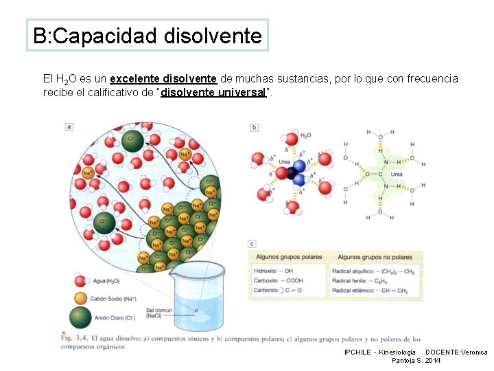 B: Capacidad disolvente El H 2 O es un excelente disolvente de muchas sustancias,