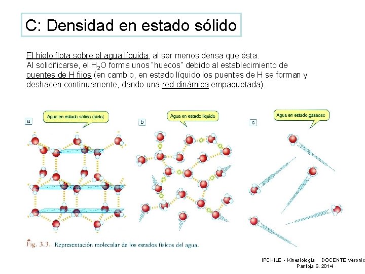 C: Densidad en estado sólido El hielo flota sobre el agua líquida, al ser