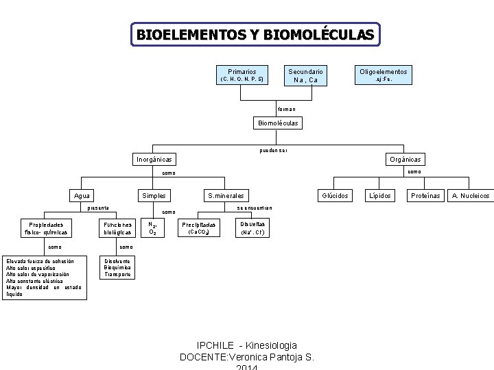 BIOELEMENTOS Y BIOMOLÉCULAS Primarios Secundario Na , Ca (C, H, O, N, P, S)