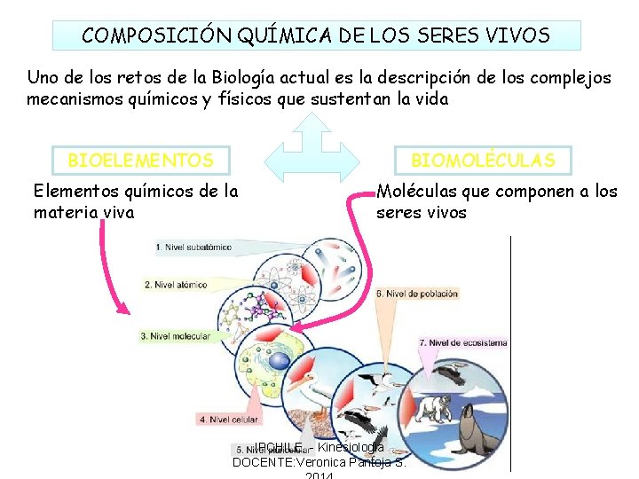 COMPOSICIÓN QUÍMICA DE LOS SERES VIVOS Uno de los retos de la Biología actual