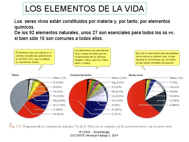 LOS ELEMENTOS DE LA VIDA Los seres vivos están constituidos por materia y, por