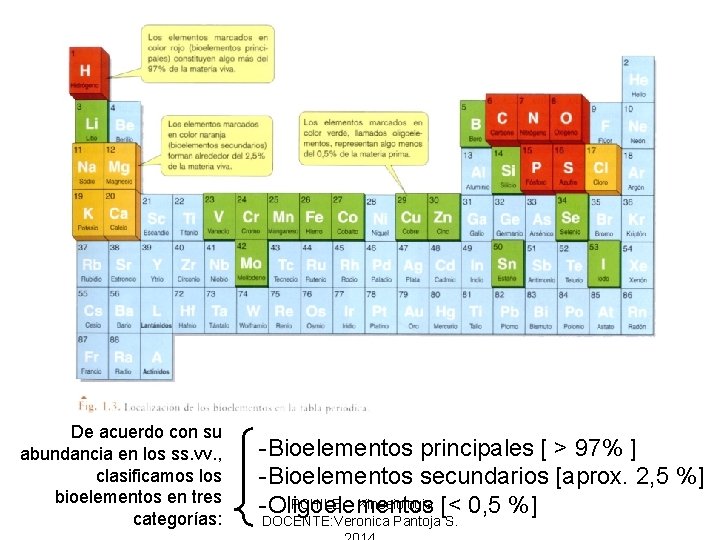 De acuerdo con su abundancia en los ss. vv. , clasificamos los bioelementos en