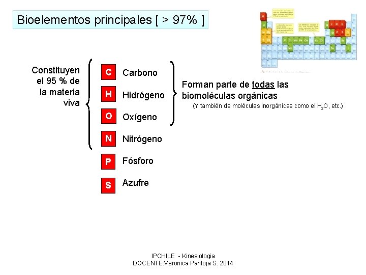 Bioelementos principales [ > 97% ] Constituyen el 95 % de la materia viva