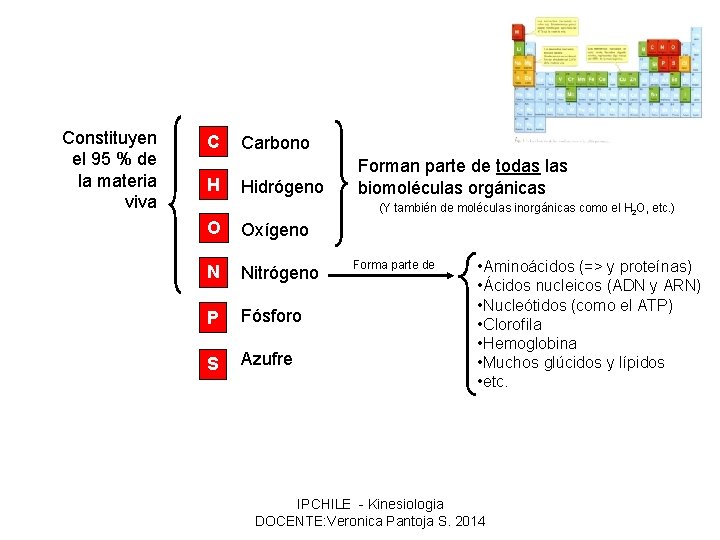 Constituyen el 95 % de la materia viva C H Carbono Hidrógeno Forman parte