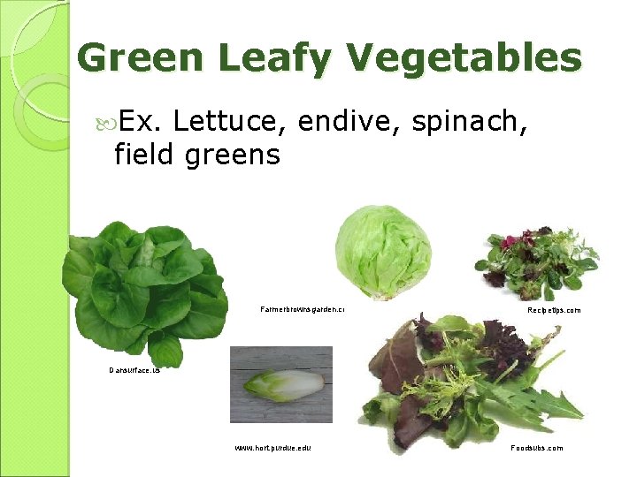 Green Leafy Vegetables Ex. Lettuce, endive, spinach, field greens Farmerbrownsgarden. com Recipetips. com Dansurface.