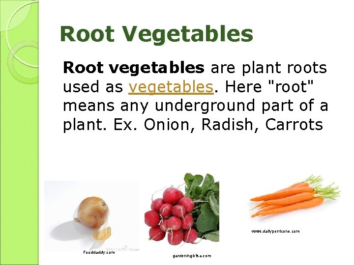 Root Vegetables Root vegetables are plant roots used as vegetables. Here "root" means any