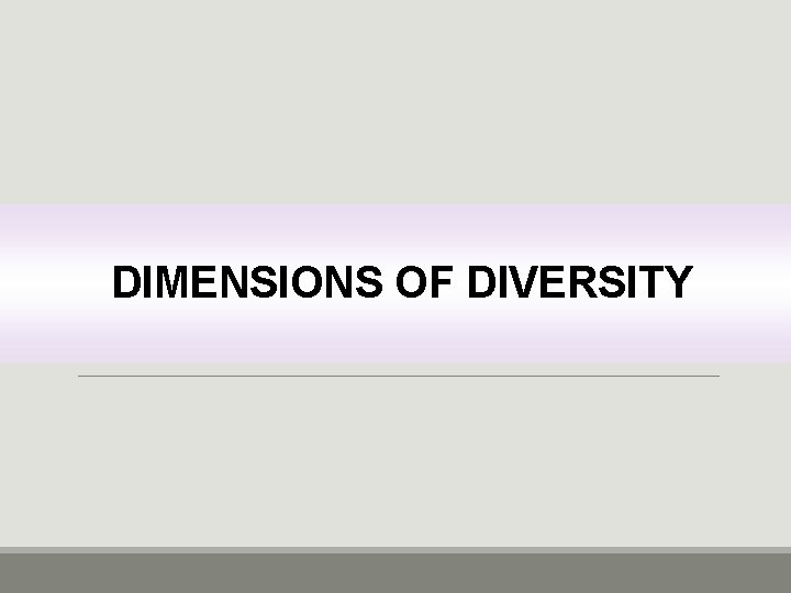 DIMENSIONS OF DIVERSITY 