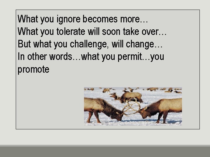 What you ignore becomes more… What you tolerate will soon take over… But what