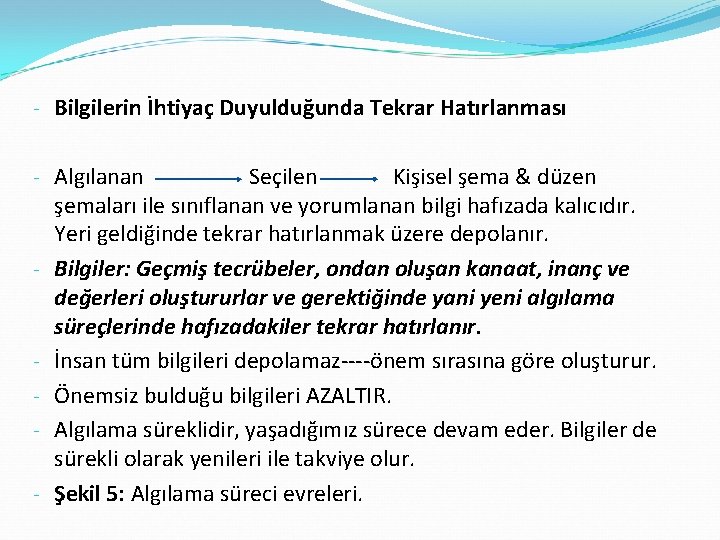 - Bilgilerin İhtiyaç Duyulduğunda Tekrar Hatırlanması - Algılanan Seçilen Kişisel şema & düzen şemaları